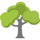 Mill Valley Tree Removal